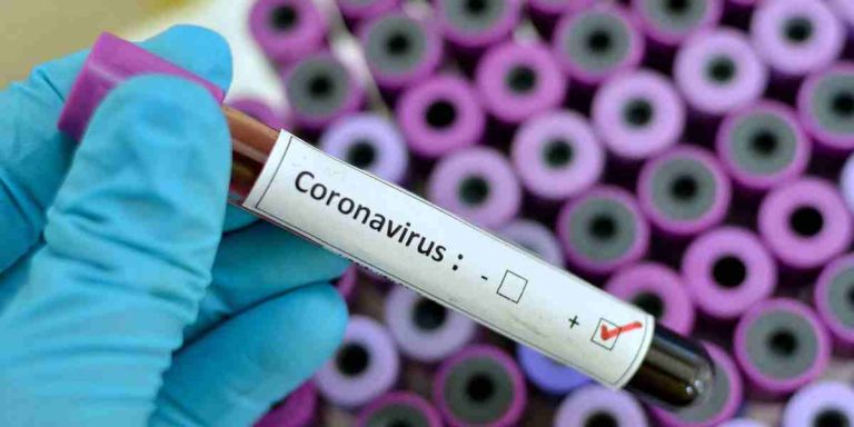 Corona Virus Indian Repsonse